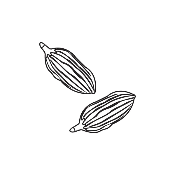 Spice illustration 1